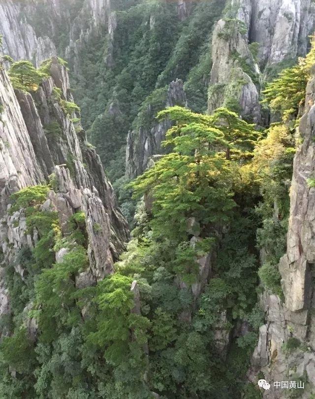 逃离快乐小镇